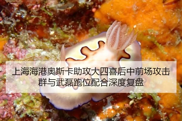 上海海港奥斯卡助攻大四喜后中前场攻击群与武磊跑位配合深度复盘